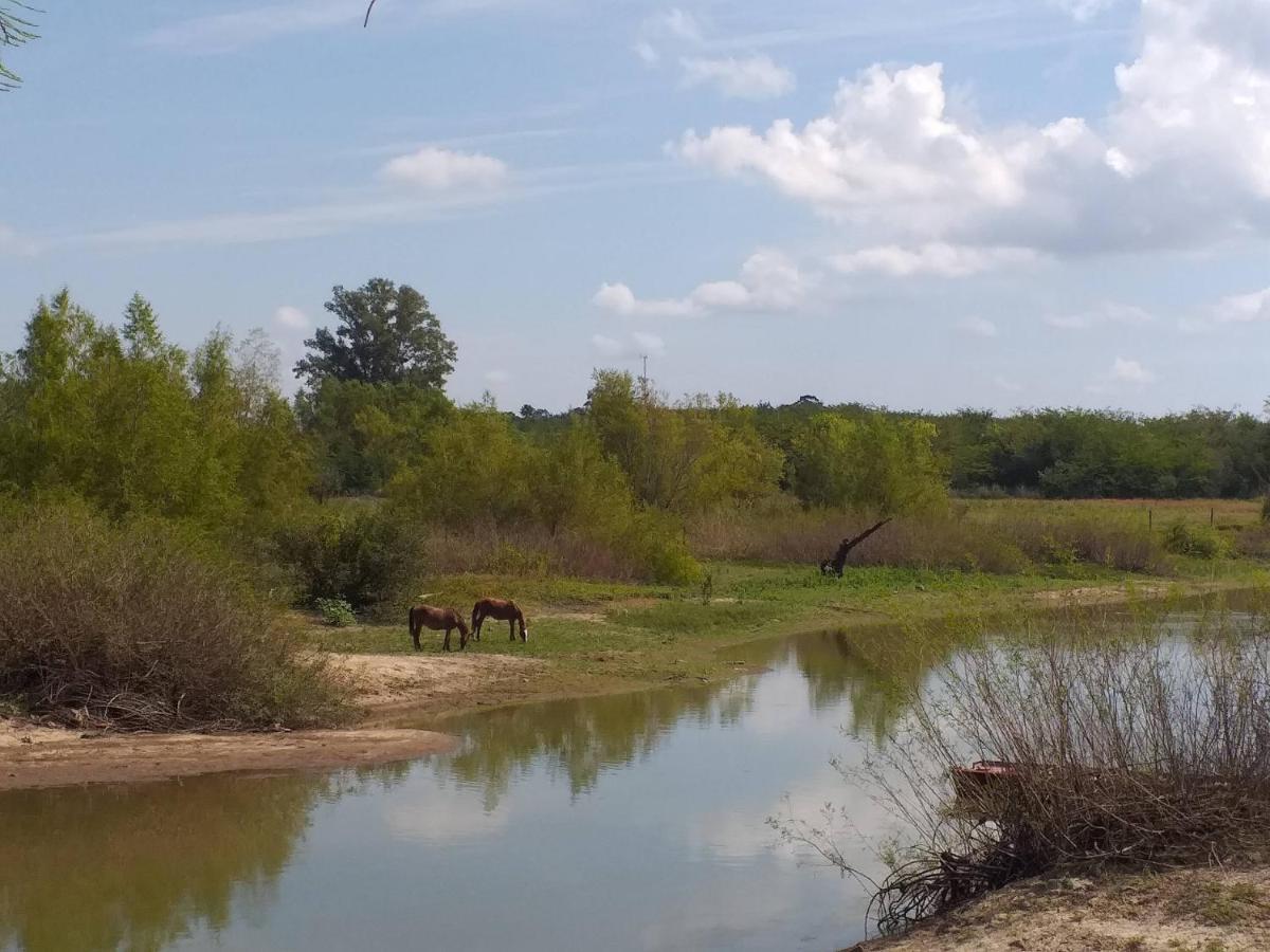 Del Paraiso * Colon (Entre Rios)